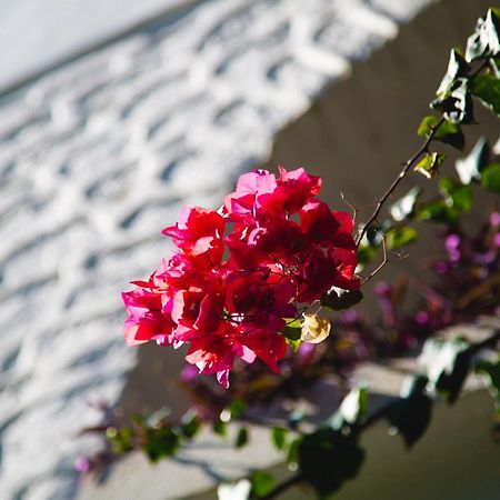 Hotel Karia Princess Bodrum Exterior photo