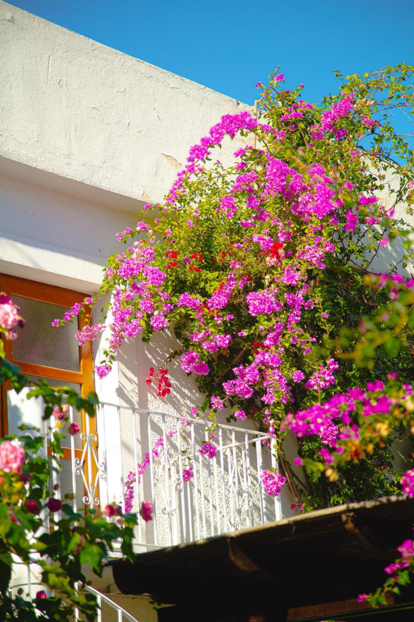 Hotel Karia Princess Bodrum Exterior photo